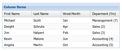 Ext.grid.column.Column grid column